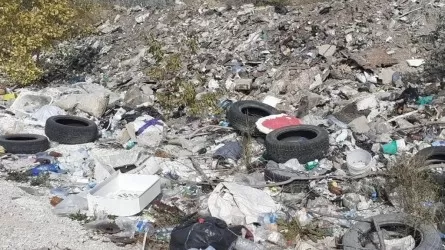 Спутниковый мониторинг помог выявить десятки свалок в Туркестанской области 