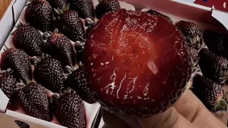 Необычная клубника "Черная жемчужина" поразила своим внешним видом