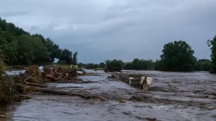 Сильный шторм в Новой Зеландии оставил десятки тысяч людей без света 