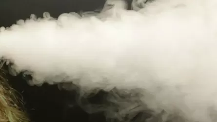 Запрещенный бизнес с миллиардным оборотом прикрыли в Алматы 