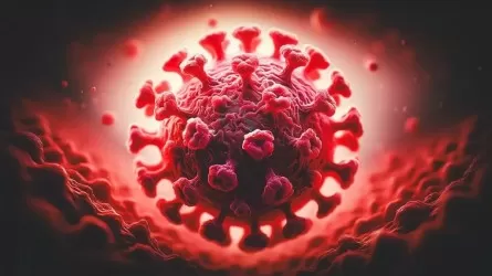 Казахстан усилил контроль на границе из-за вспышек Нипах в Юго-Восточной Азии 