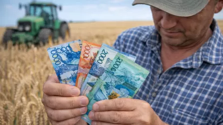 Новые кредиты для ферм и теплиц примут в РК