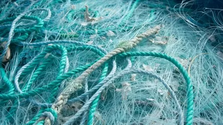 В Акмолинской области браконьеры попали в колонию за рыбу из заповедного озера