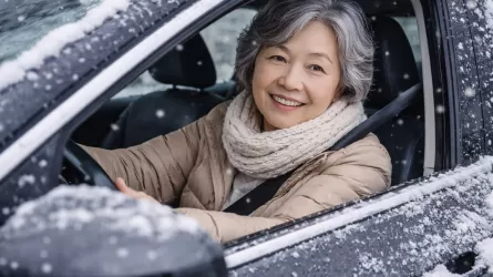 Пенсионерка из Шымкента поймана с подложными номерами авто