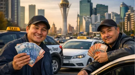 Выявлен "народный бизнес", на котором можно заработать 4 миллиона тенге 