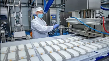 Экспорт мороженого впервые превысил импорт в Казахстане 