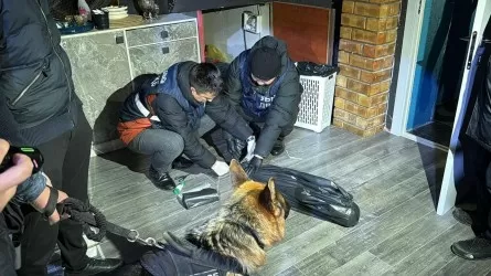 Қызылордада азот оксиді құйылған шарлар сатылған: тергеу басталды