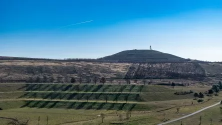 Продажи земли не будет: депутат прокомментировал вбросы в соцсетях 