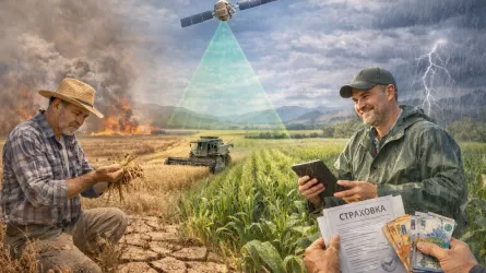 Казахстан хочет защитить фермеров от климатических катастроф