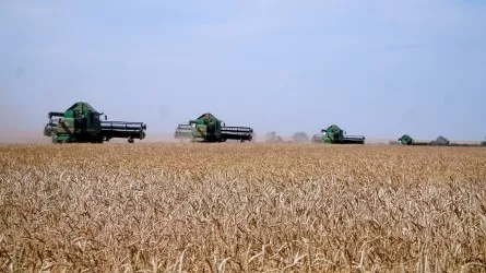 Казахстан намерен увеличить экспорт мяса в два раза 