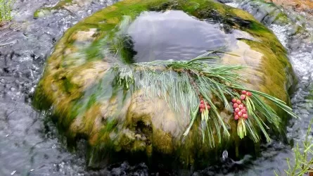 Сотни родников выявили в Казахстане 