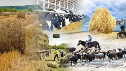 Сельское хозяйство делает ставку на кооперацию в РК 