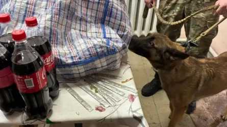 Қызылордада есірткіні түрмеге сөмкенің бауына жасырып өткізбек болған тұрғын ұсталды