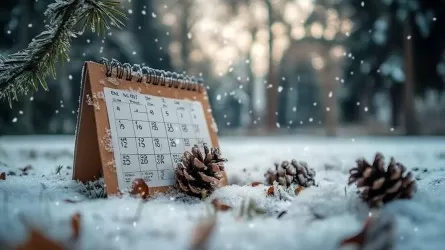 16 февраля отмечается Всемирный день управления антропогенными рисками