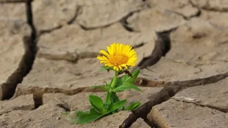 Обозначены ключевые климатические риски для стран Центральной Азии
