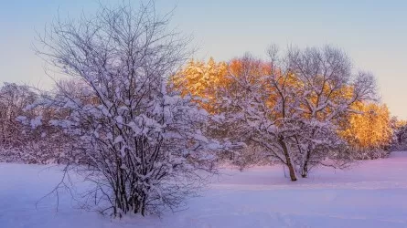 Погода в крупных городах Казахстана: от морозов до весеннего тепла