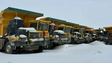 Таможня выявила масштабные фальсификации при ввозе китайских авто