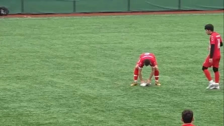 Футболисты спасли сбитую мячом чайку во время матча в Стамбуле  