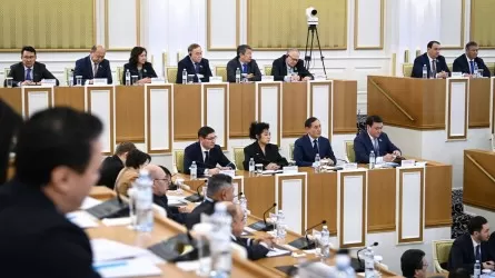 Жаңа Конституцияда барлық өтпелі рәсімдер, мерзімдер мен регламенттер нақты жазылады &ndash; Снежанна Имашева