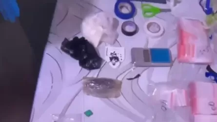 В Шымкенте пресекли интернет-сбыт наркотиков 