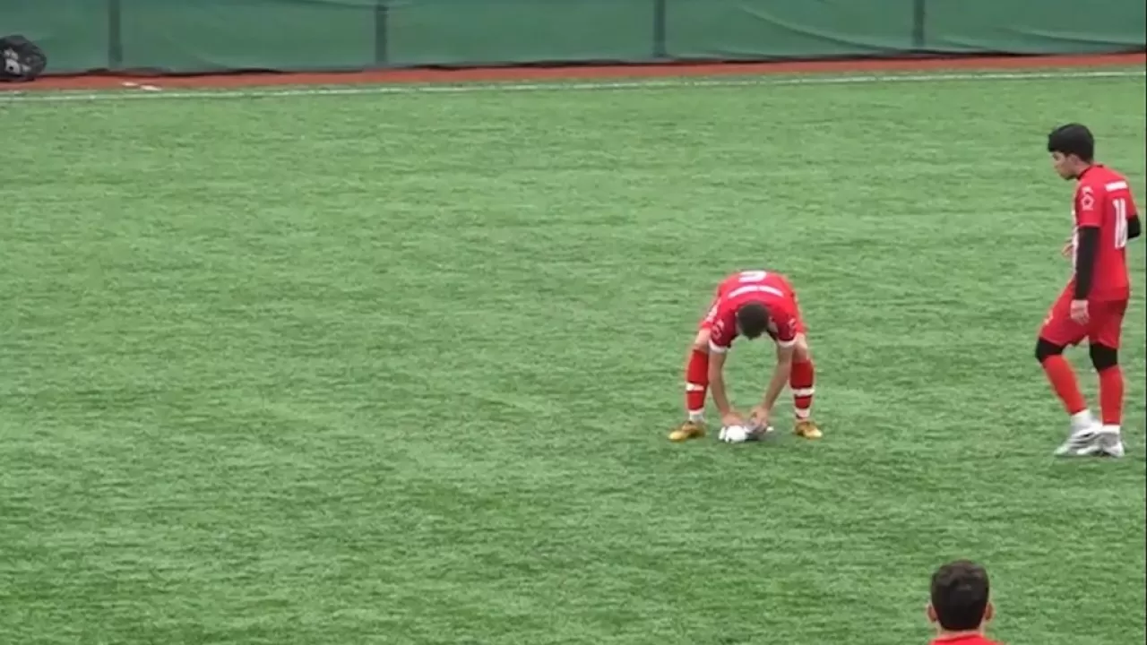 Футболисты спасли сбитую мячом чайку во время матча в Стамбуле  