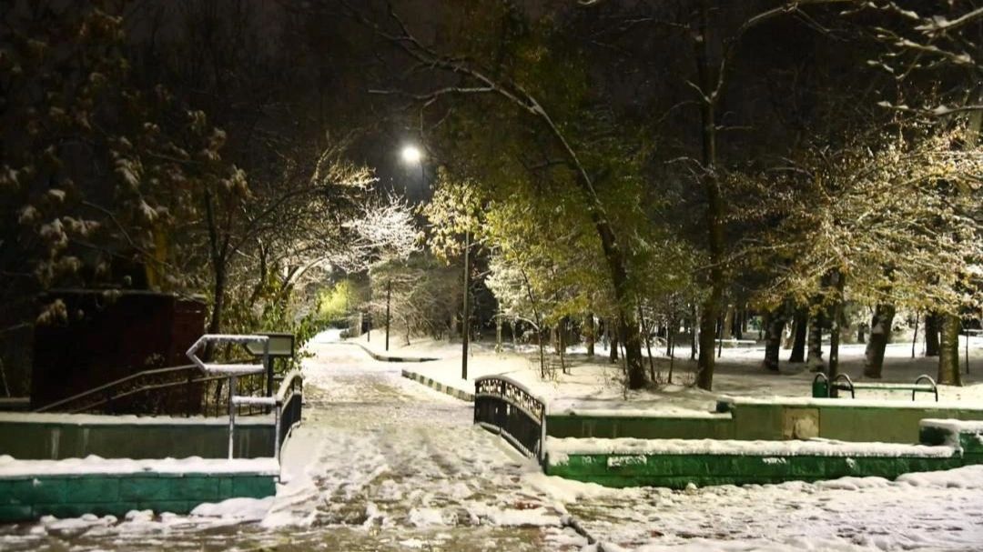 Шымкентте дендросаябаққа кіру уақытша шектелді