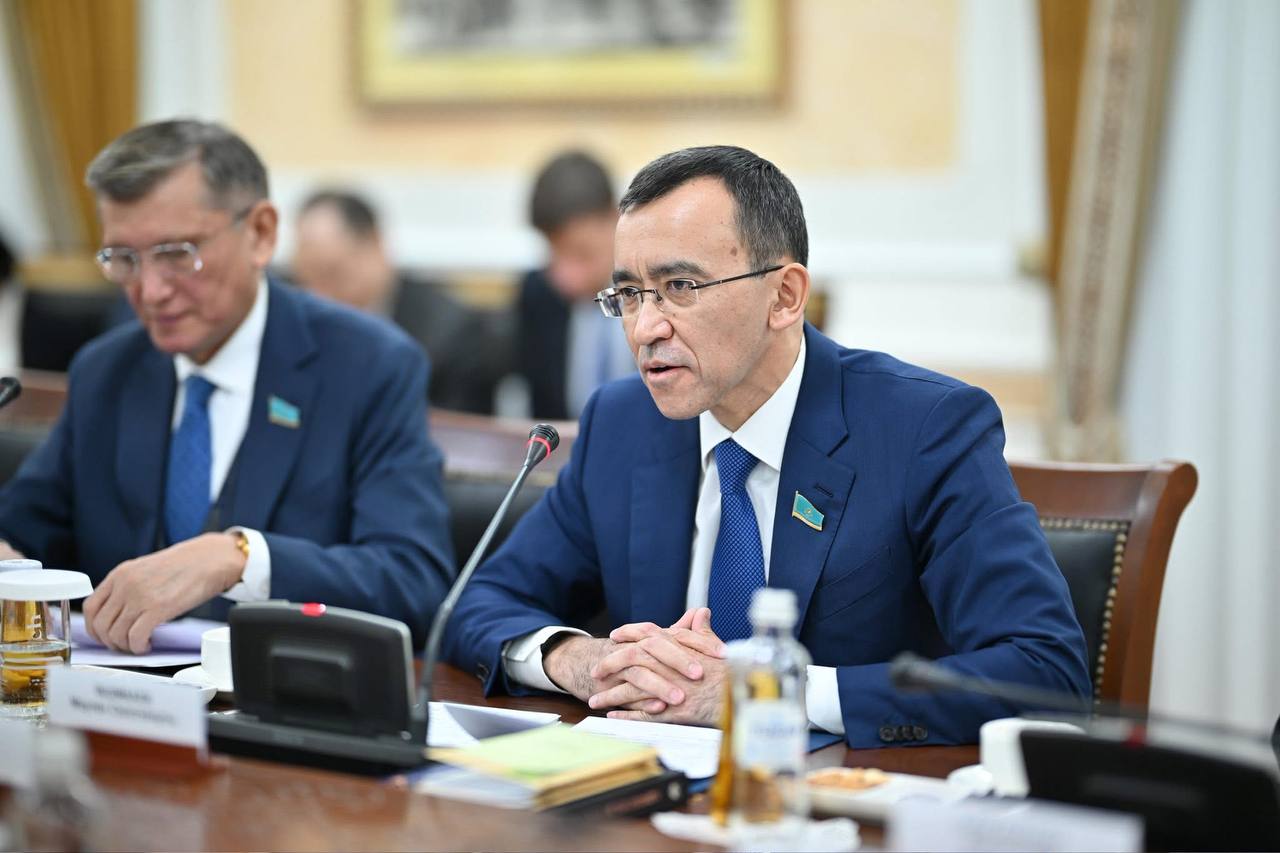 Мәулен Әшімбаев өзін вице-президенттікке ұсынғандарға жауап берді