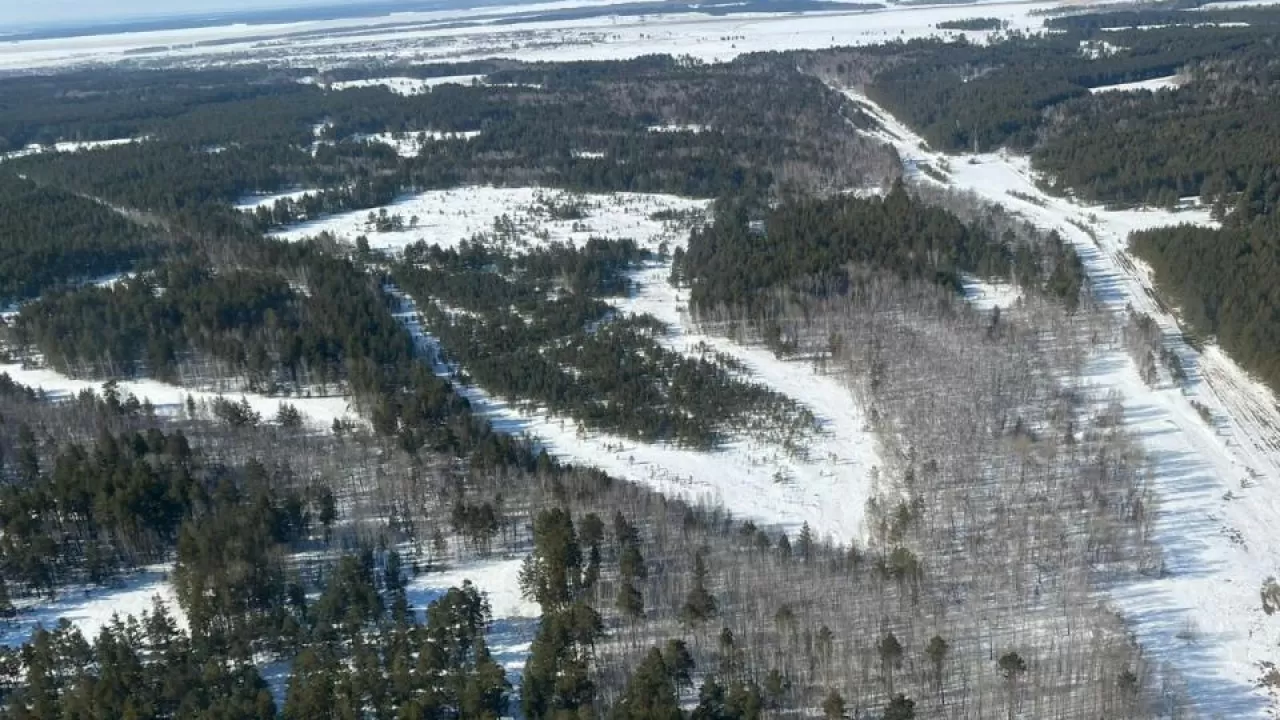 Казахстан спасают от половодья: где ждут большую воду  