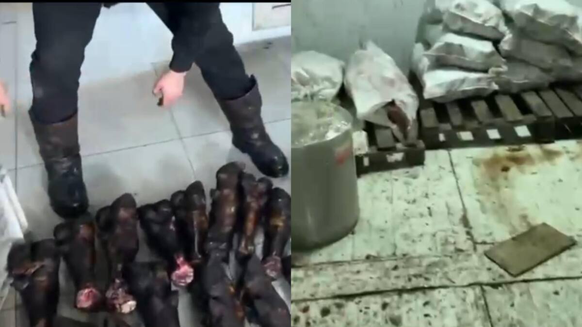 Астанада заңсыз айналымнан 3 мың тонна ет өнімі тәркіленді