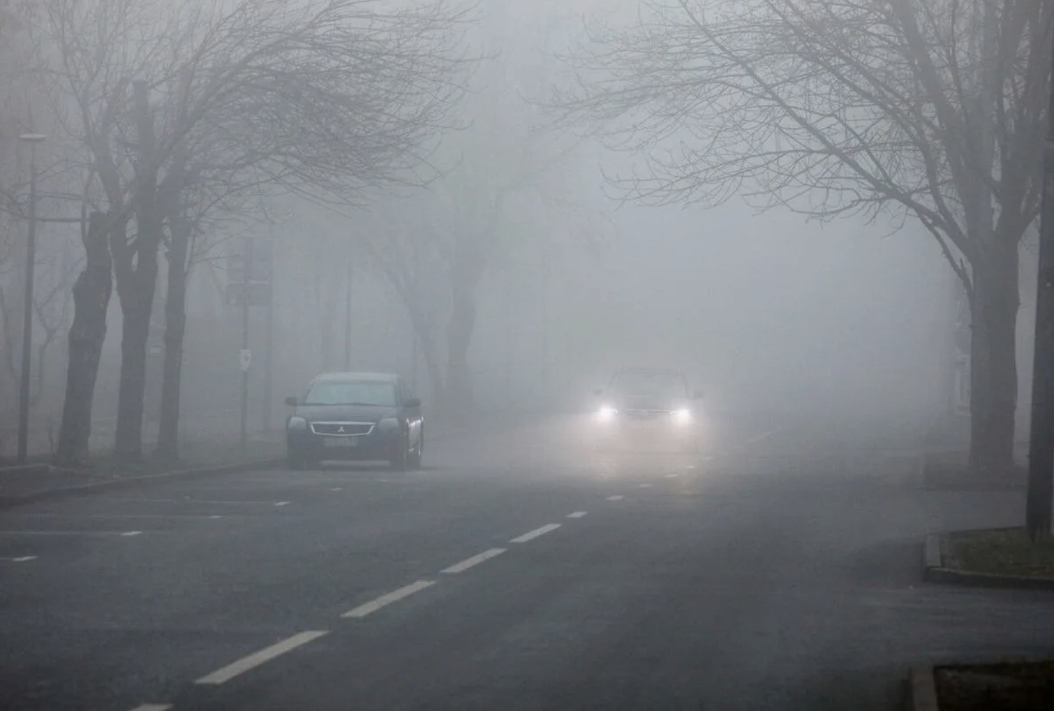 25 наурызға арналған ауа райы болжамы жарияланды