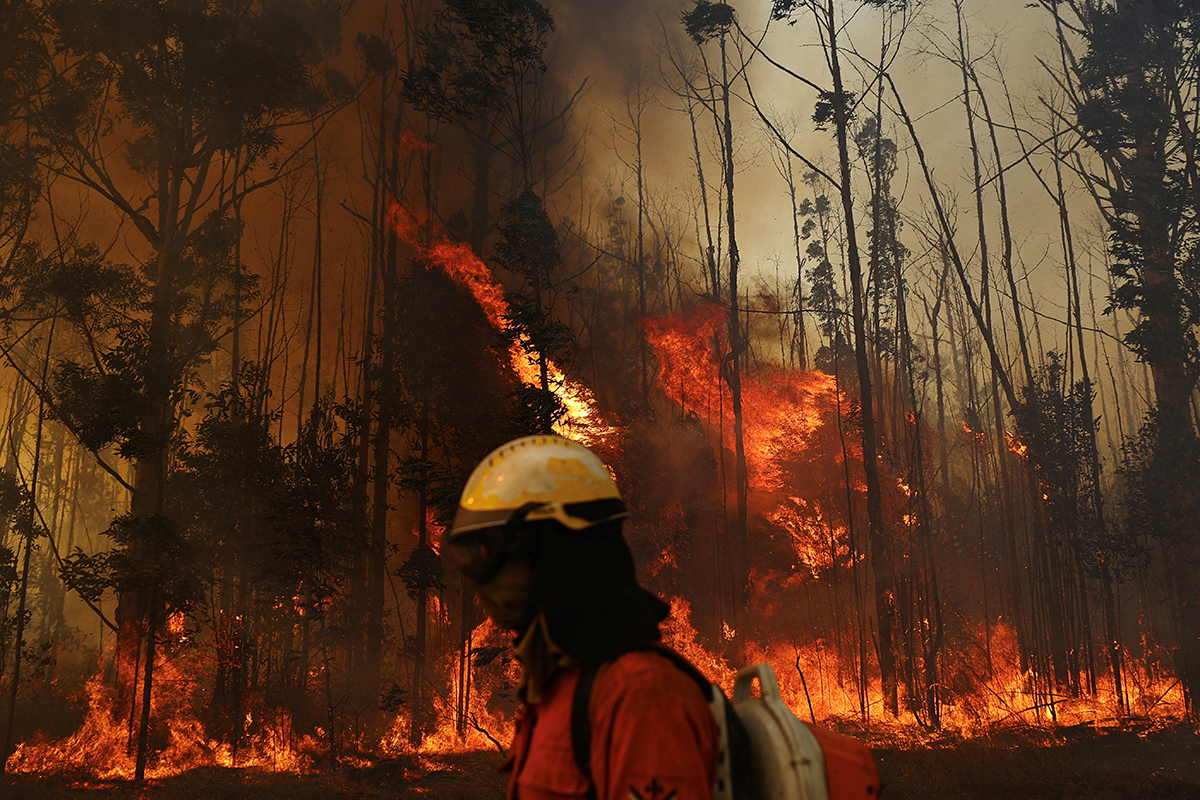 АҚШ-тың Небраска штатында орман өртінен 243 мың гектар аумақ жанып кетті