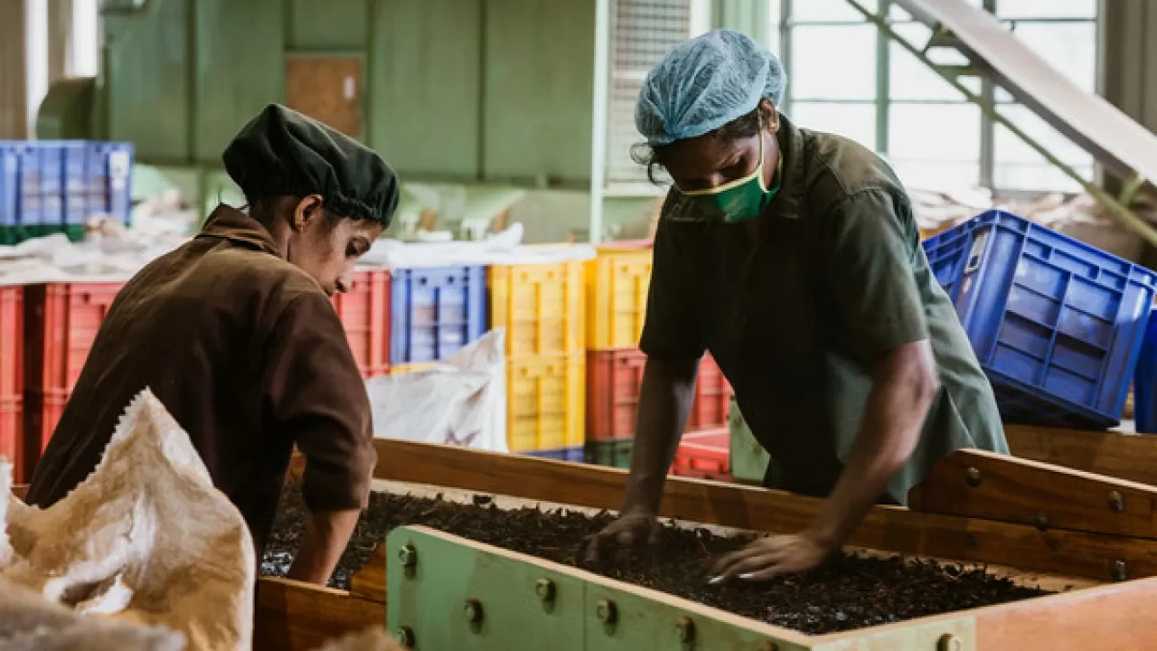 Шри-Ланка ввела четырехдневную рабочую неделю