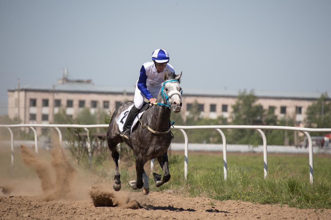 Астанада ат спортынан ел чемпионаты өтеді