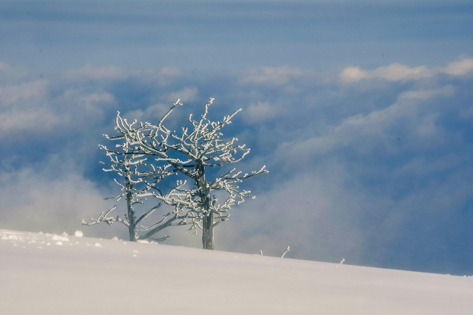 Синоптики предупредили об усилении ветра и осадках в Казахстане