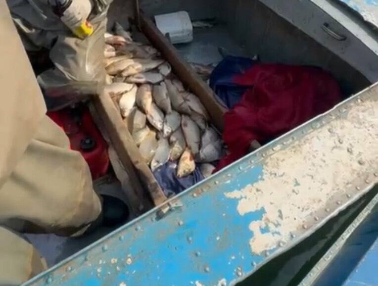 Түркістан облысында браконьерлерден 130 келіге жуық балық тәркіленді