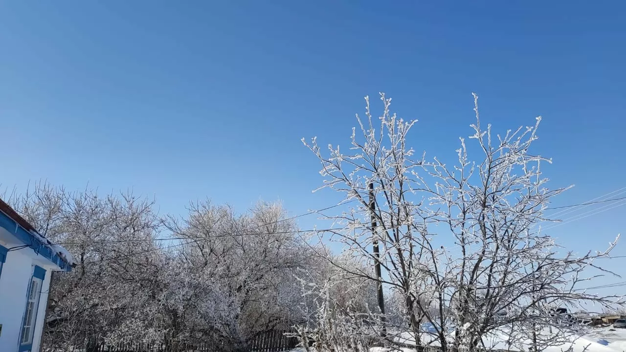 Какая погода будет на Наурыз 
