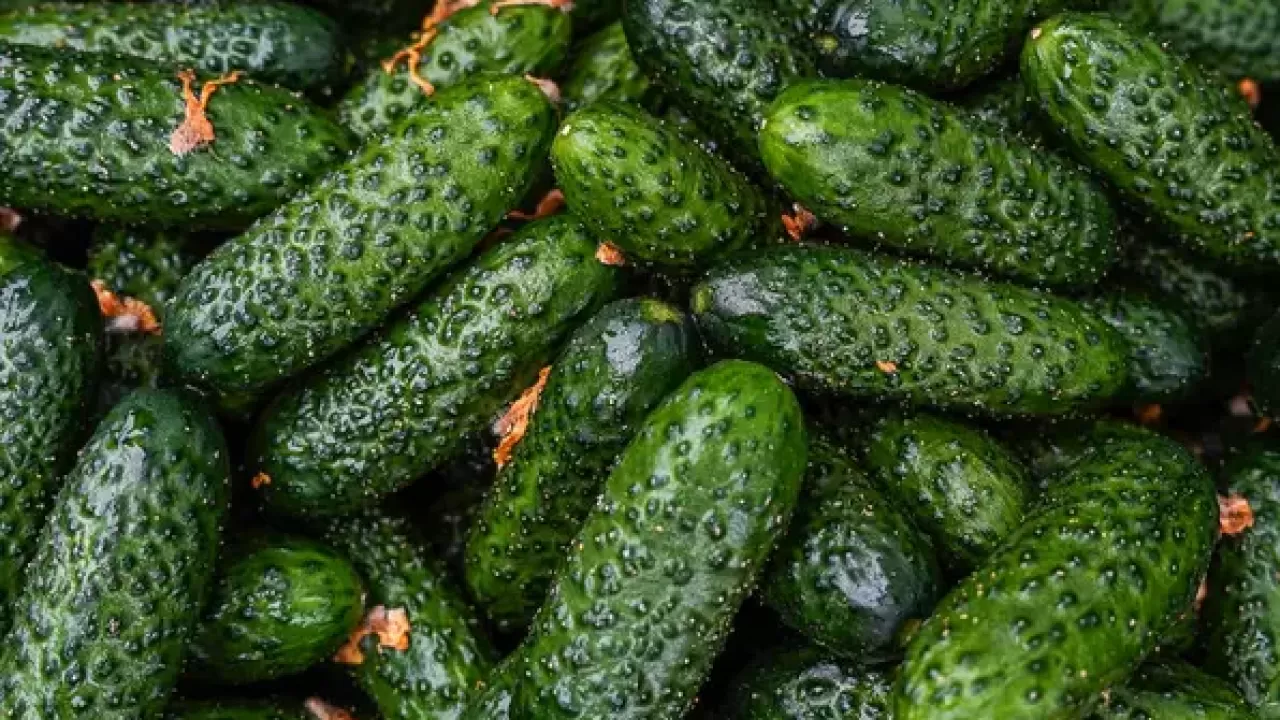 Огурцы подешевели? Цены говорят обратное 