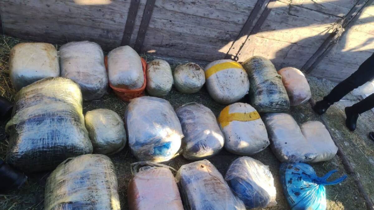 Қостанай облысында ер адамнан 200 келіден астам есірткі тәркіленді