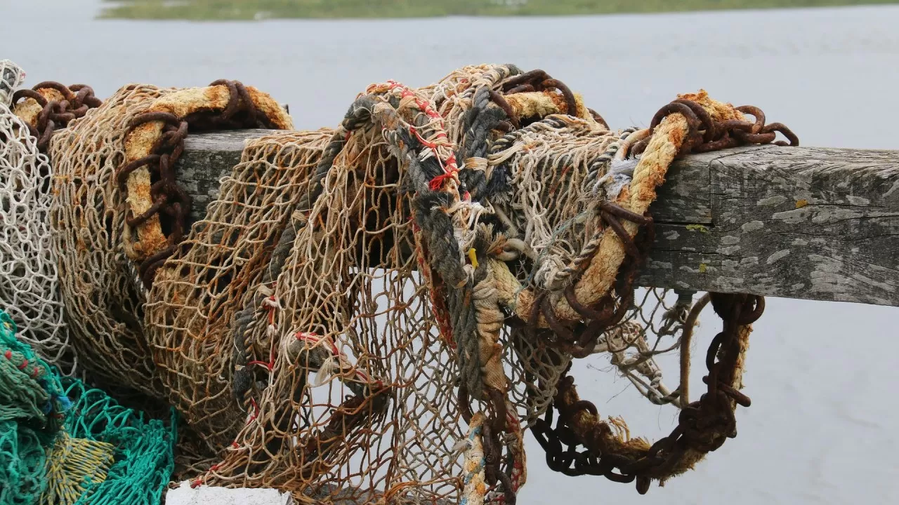 Дроны и техника против браконьеров в Атырауской области 
