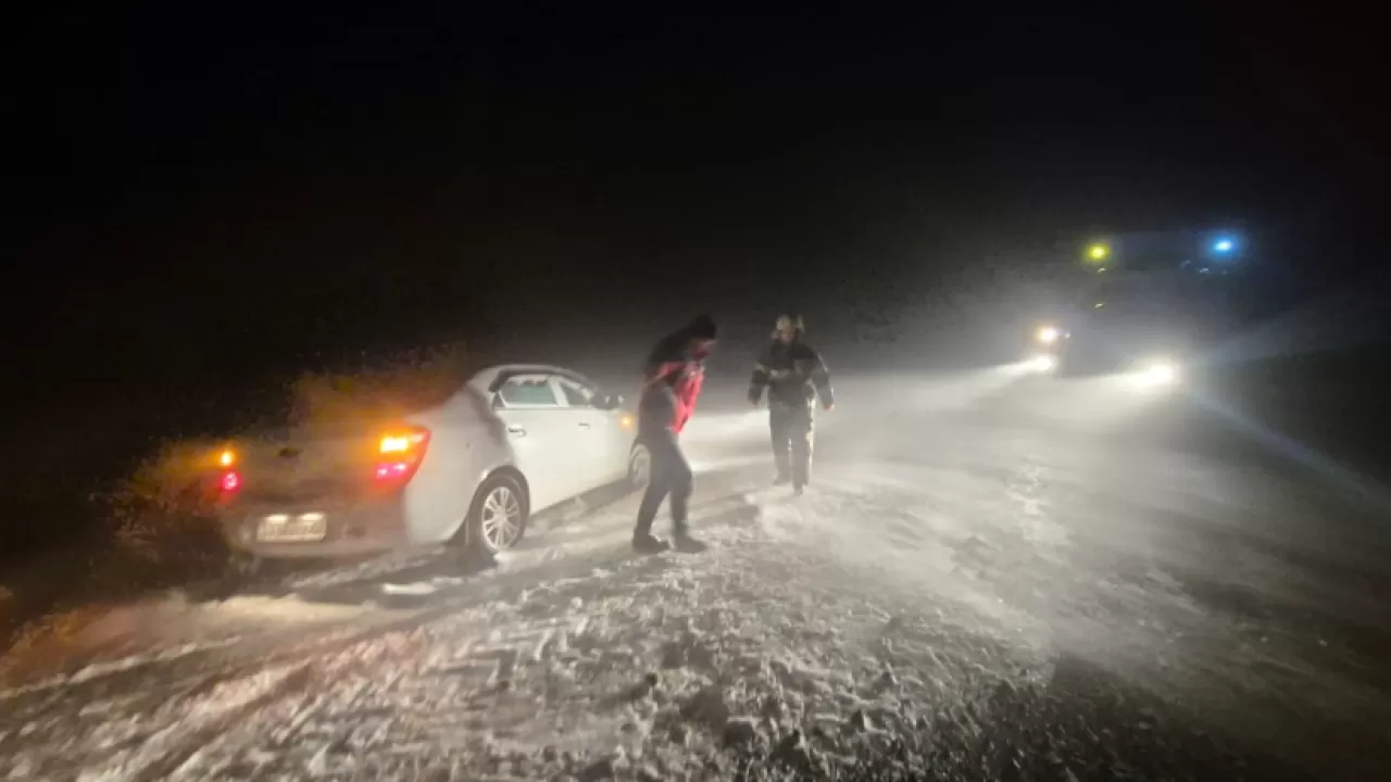 Тело пастуха обнаружили спасатели в Павлодарской области 