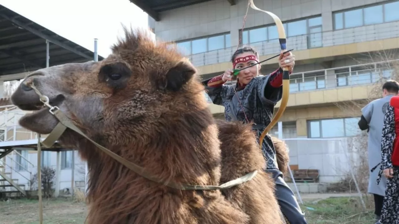 Рекорд Гиннесса на верблюде: в Алматы поразили 4 мишени за 10 секунд