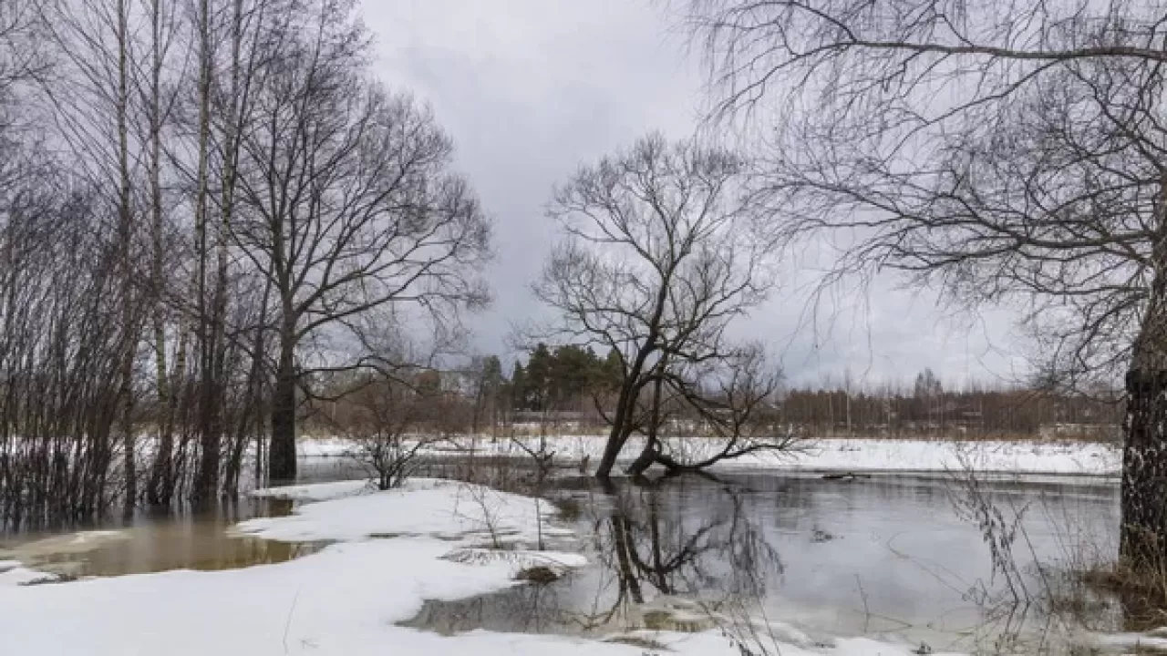  Паводок в Костанайской области: вскрывают дороги и спасают села