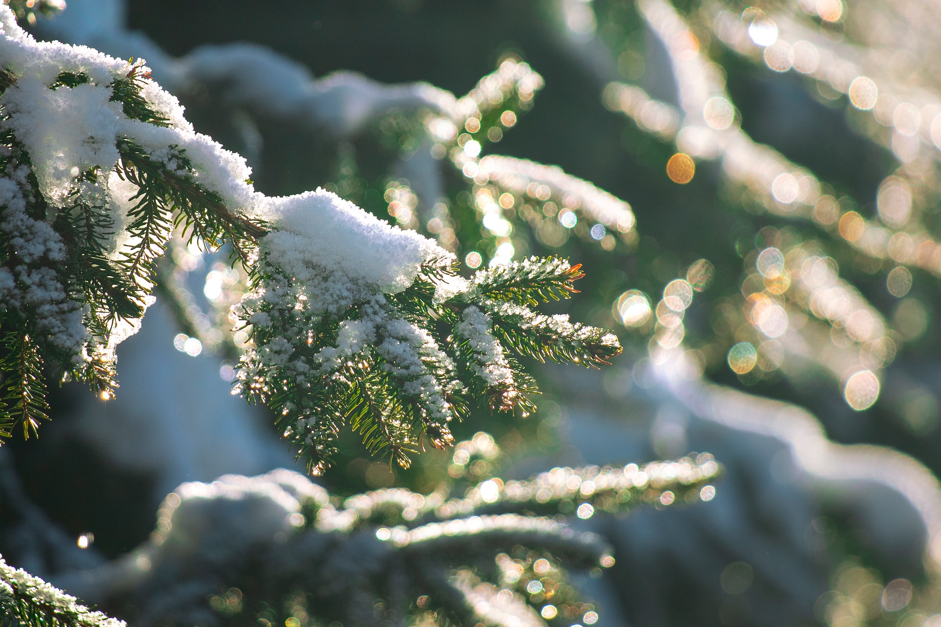 Осадки и гололед осложнят ситуацию в регионах Казахстана