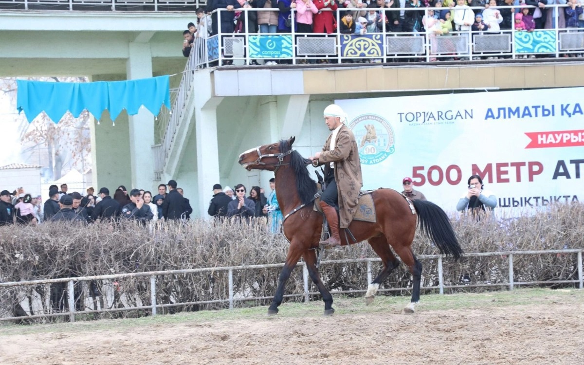 Алматыда шабандоз ат үстінде тік тұрып, 500 метрді шауып өтіп, әлемдік рекорд жасады