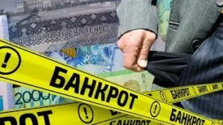 Банкротство бизнеса и физлиц станет прозрачнее в Казахстане 