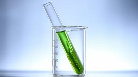 Производители биотоплива в РК будут отчитываться по-новому  