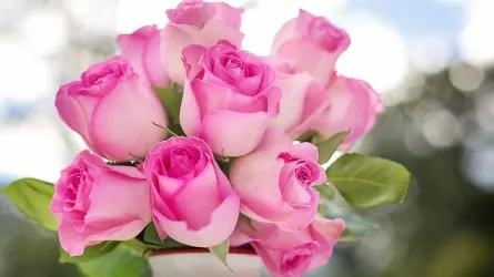 Какие страны снабжают Казахстан цветами 