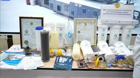 Казахстанские ученые создали экологичные фильтры из отходов  