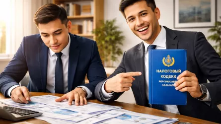 В Казахстане отменили внезапные налоговые проверки без предупреждения 