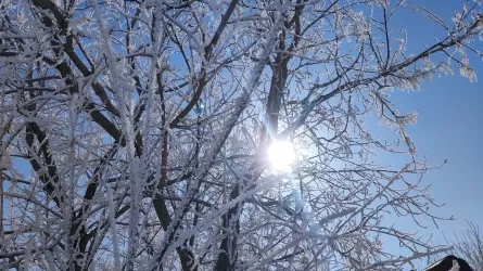 Как одеваться ранней весной, чтобы не заболеть ОРВИ 